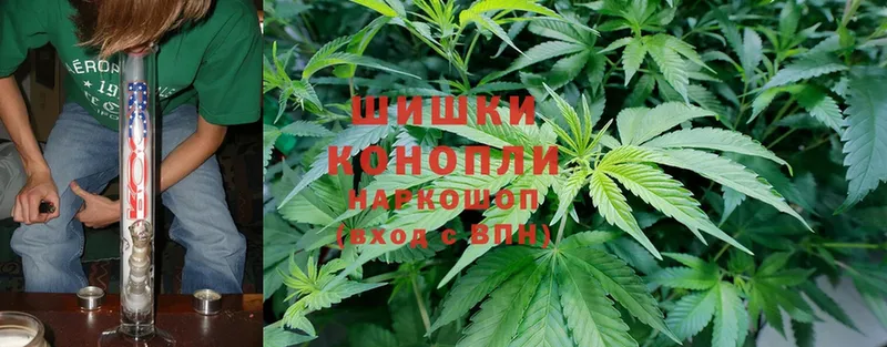 Каннабис Ganja  Пудож 